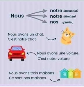 صفات اللغة الفرنسية للصف الثالث الاعدادي - الاعدادية لغات