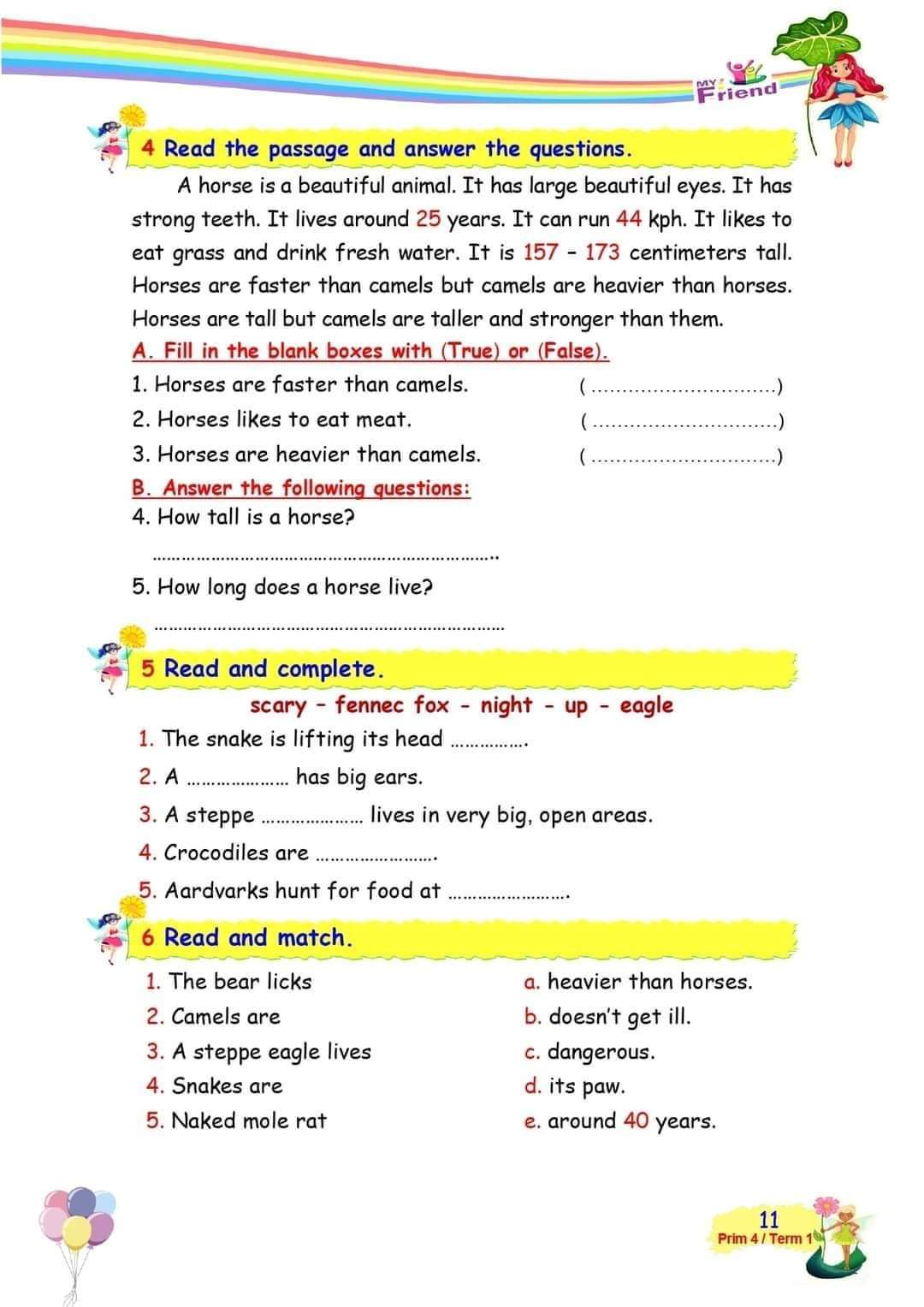 قواعد وتدريبات انجليزي رابعة ابتدائي ٢٠٢٢ - اللغة الانجليزية