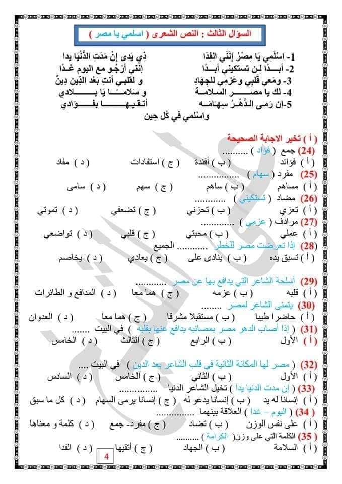 تقييم لغة عربية رابعة ابتدائي شهر اكتوبر - ٢٠٢٢
