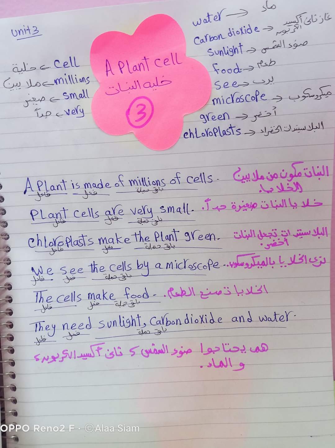 مراجعة انجليزي الصف الرابع مس آلاء صيام - Alaa siam