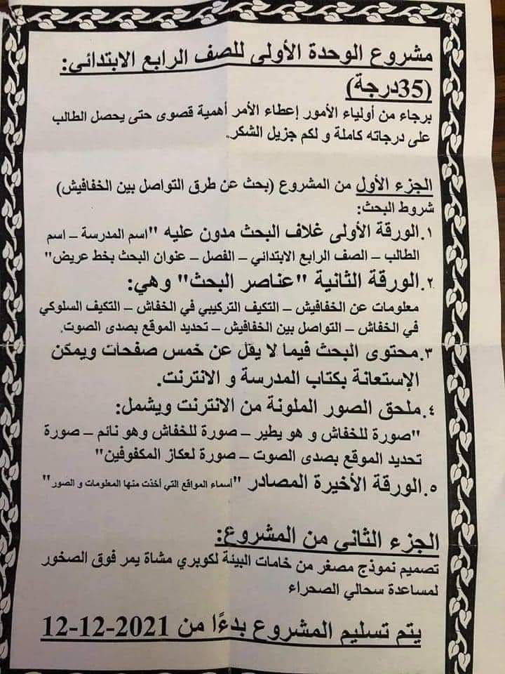 مشروع الخفافيش للصف الرابع الابتدائي - الخفافيش