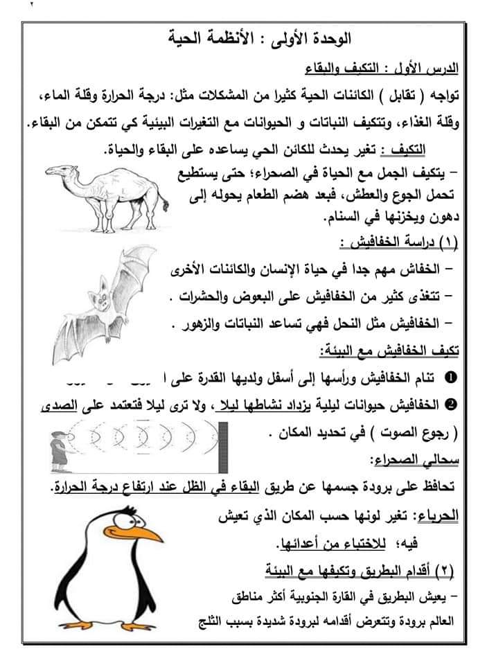 مراجعة نهائية علوم رابعة ابتدائي ترم اول - اخبار رابعة ابتدائي
