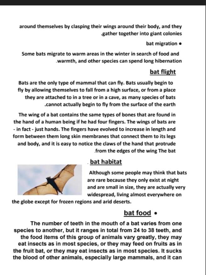 تحميل بحث الخفافيش رابعة ابتدائي عربي ولغات - الخفافيش