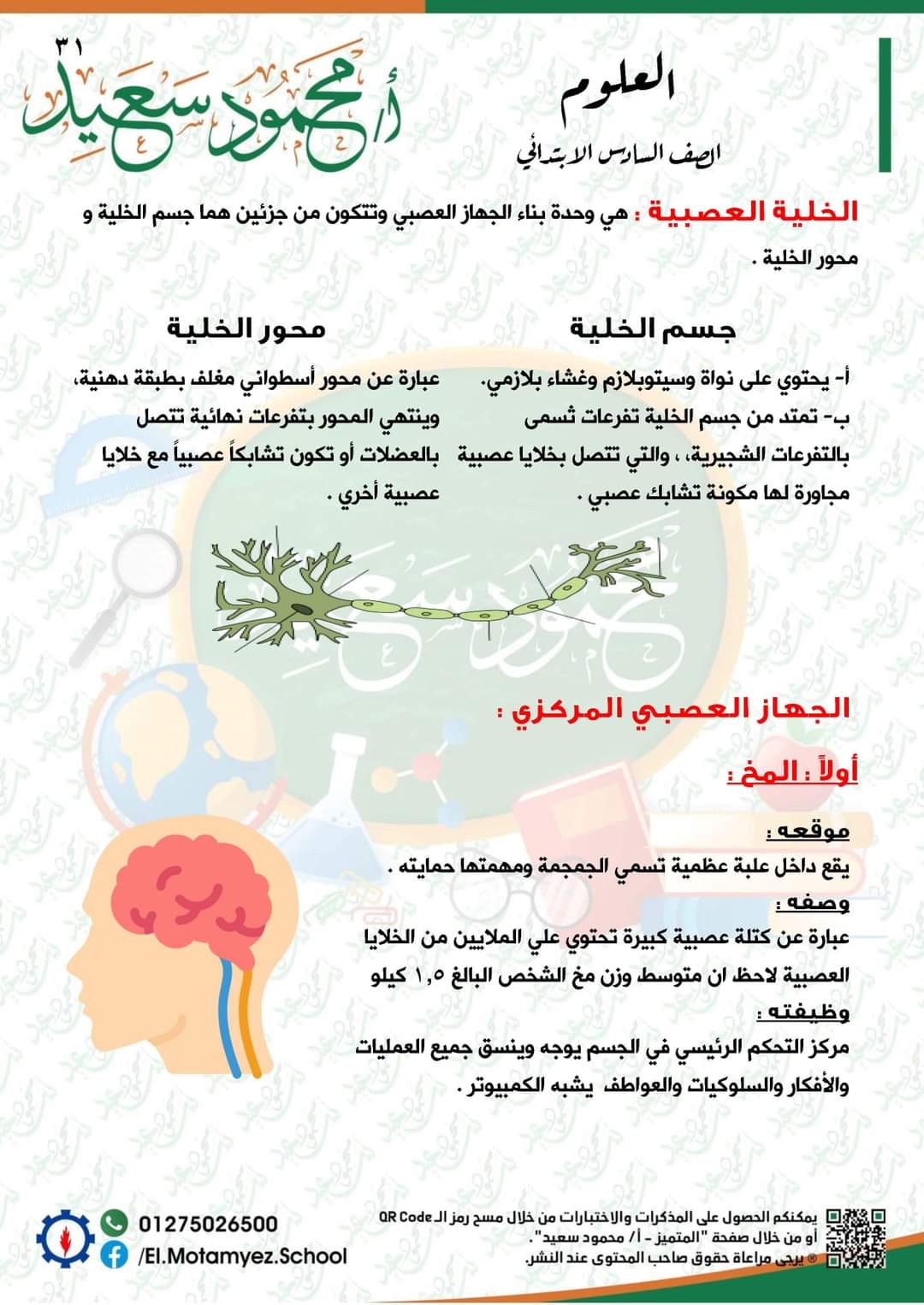 مذكرة مراجعة ليلة الامتحان علوم سادسة ابتدائي - العلوم