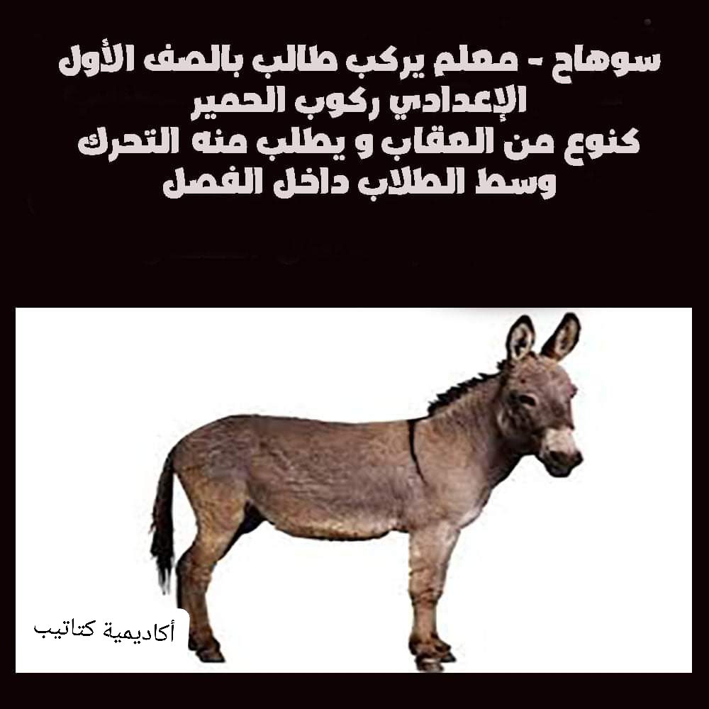 معلم يعاقب طالب بركوبه كالحمار داخل الفصل في سوهاج - اخبار التعليم