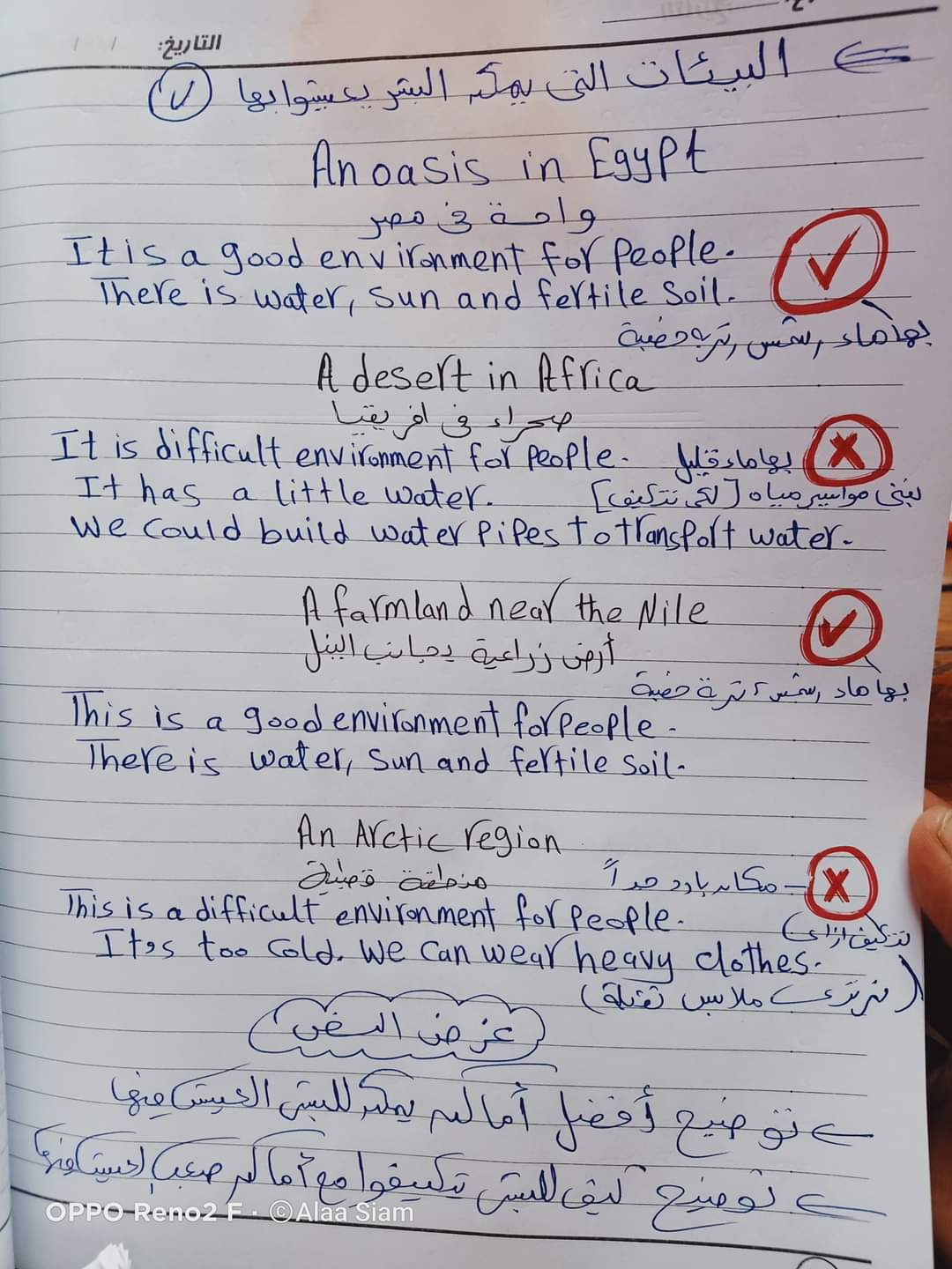 تحميل مراجعة انجليزي رابعة ابتدائي ميس آلاء صيام حتى مقرر مارس 2022 - Alaa siam