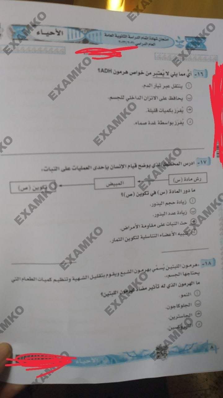 تداول وتسريب امتحان الأحياء على جروبات الغش تداول وتسريب امتحان الأحياء على جروبات الغش