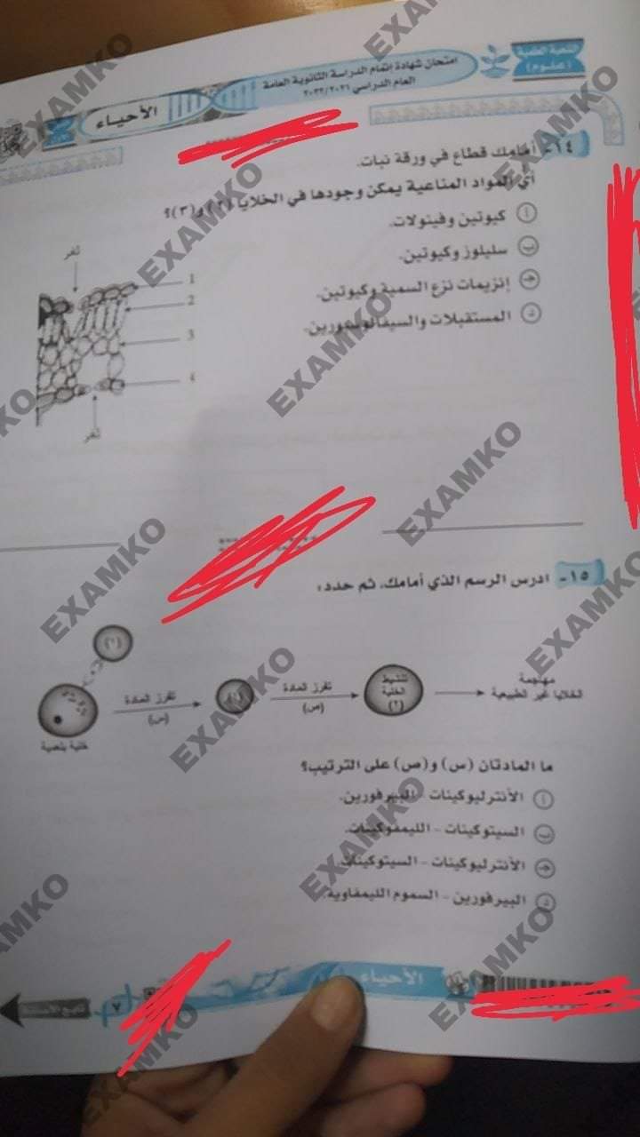 تداول وتسريب امتحان الأحياء على جروبات الغش