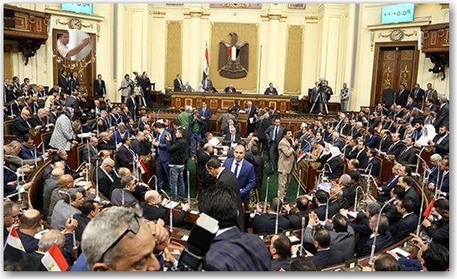 تعليم البرلمان