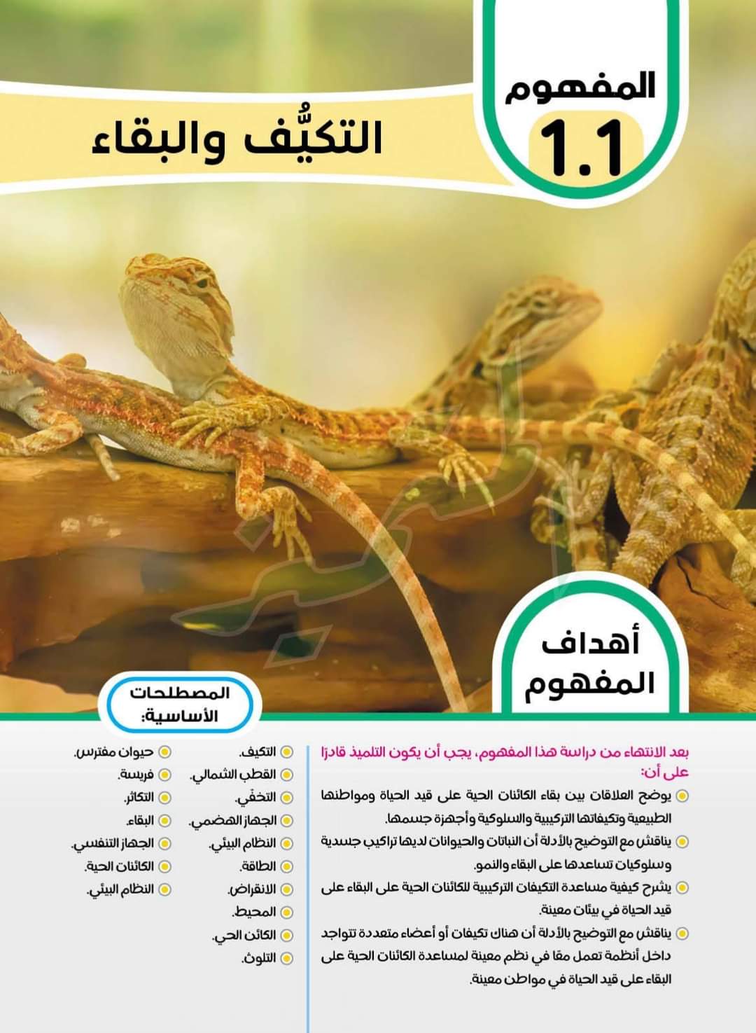 تحميل كتاب المتميز مادة العلوم رابعة ابتدائي الترم الأول 2023 تحميل كتاب المتميز مادة العلوم رابعة ابتدائي الترم الأول 2023 - تحميل كتاب الاستاذ