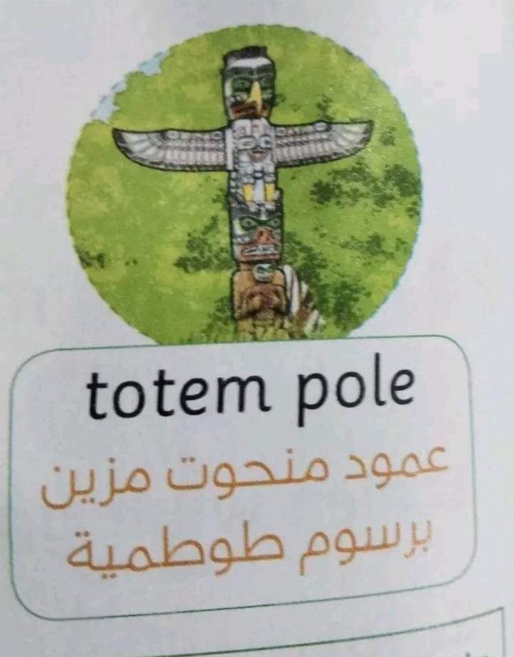 التعليم تنفي صحة صورة الطواطم المتداولة والمنسوبة لكتاب اللغة الإنجليزية للصف الخامس الابتدائي - اخبار التعليم