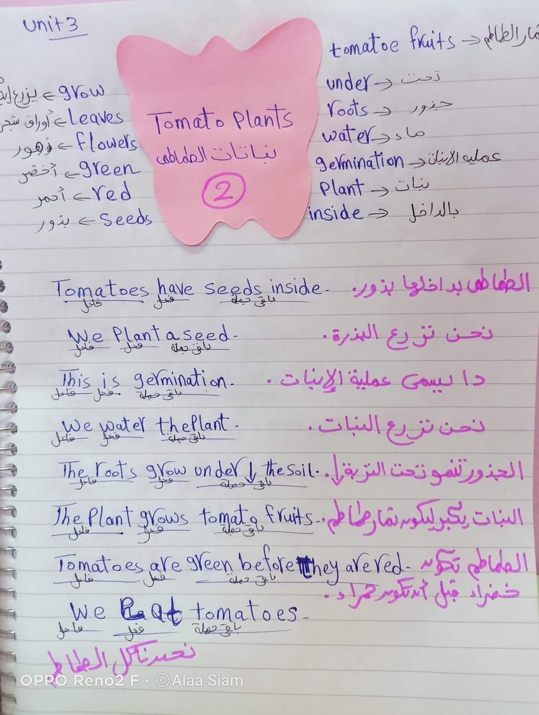 تحميل مذكرة شرح وتدريبات connect 5 خامسة ابتدائي الترم الاول 2022 - 2023 - آلاء صيام