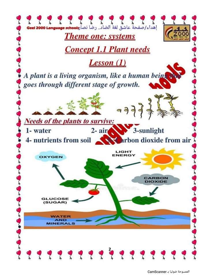 تحميل بوكليت ساينس science خامسة ابتدائي لغات 2023 - بوكليت