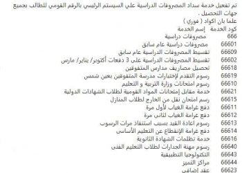 اكواد سداد فورى الخاصة بالمصروفات و الخدمات التعليمية والاكاديمية المهنية للمعلمين - اخبار التعليم