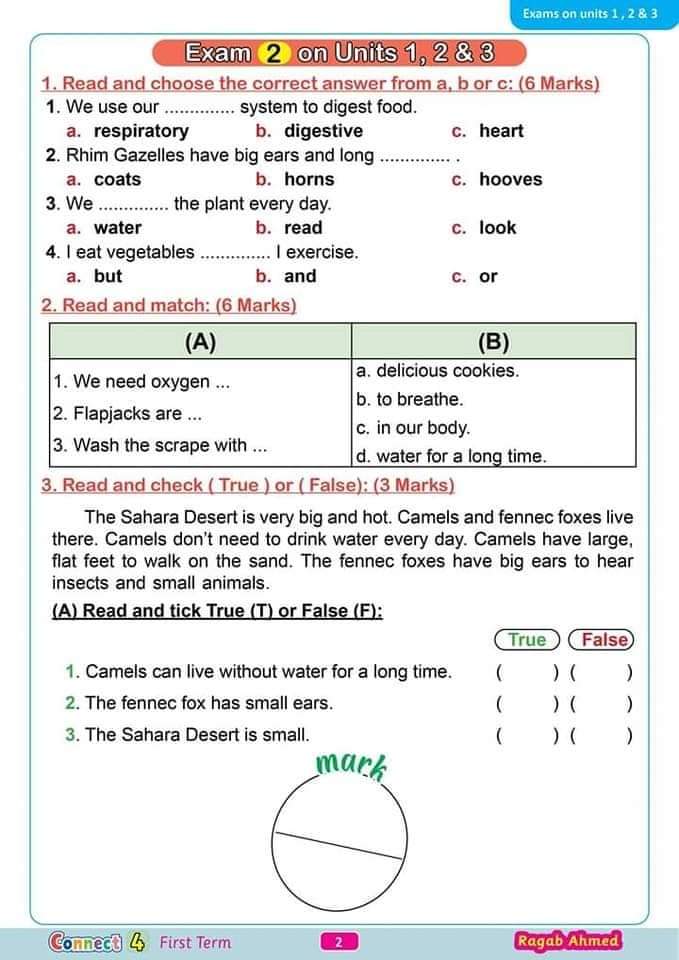 تحميل 39 امتحان لغة انجليزية الصف الرابع الابتدائي 2023 - امتحانات كونكت ٤
