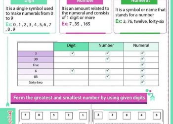 تحميل ملخص الأضواء ماث math الصف الرابع الابتدائي الترم الاول 2023 - تحميل كتاب الأضواء