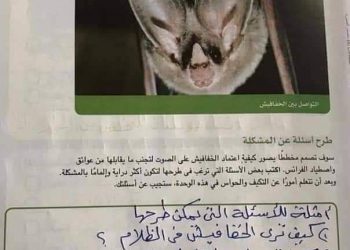تحميل اجابات تدريبات الكتاب المدرسى لمادة العلوم رابعة ابتدائي 2023 - اجابات كتاب العلوم رابعة