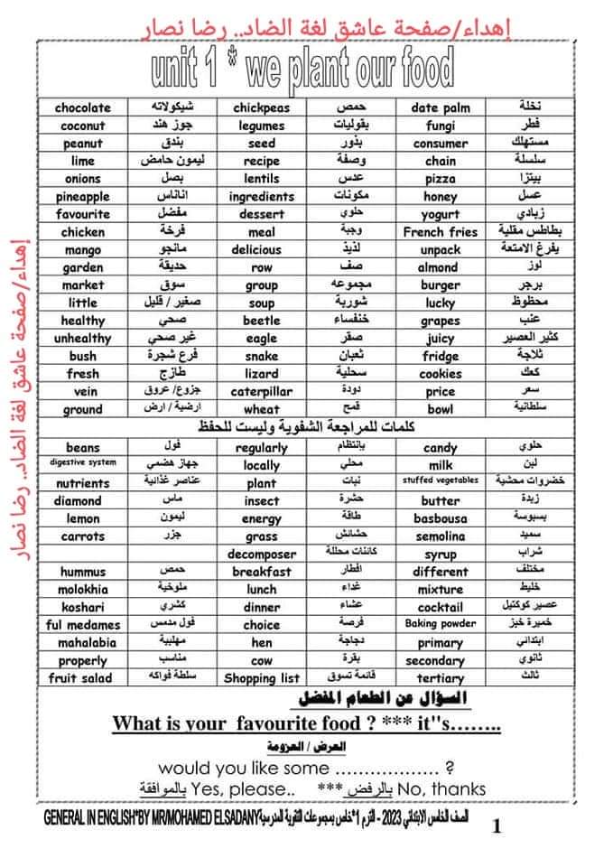 مذكرة قواعد وكلمات اللغة الانجليزية الصف الخامس الابتدائي 2023 مذكرة قواعد وكلمات اللغة الانجليزية الصف الخامس الابتدائي 2023 - مذكرة انجليزي خامسة