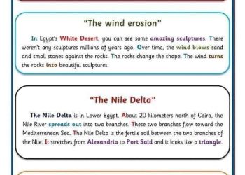 تحميل براجرافات كونكت 5 الصف الخامس الابتدائي الترم الاول 2023 - براجرافات خامسة ابتدائي