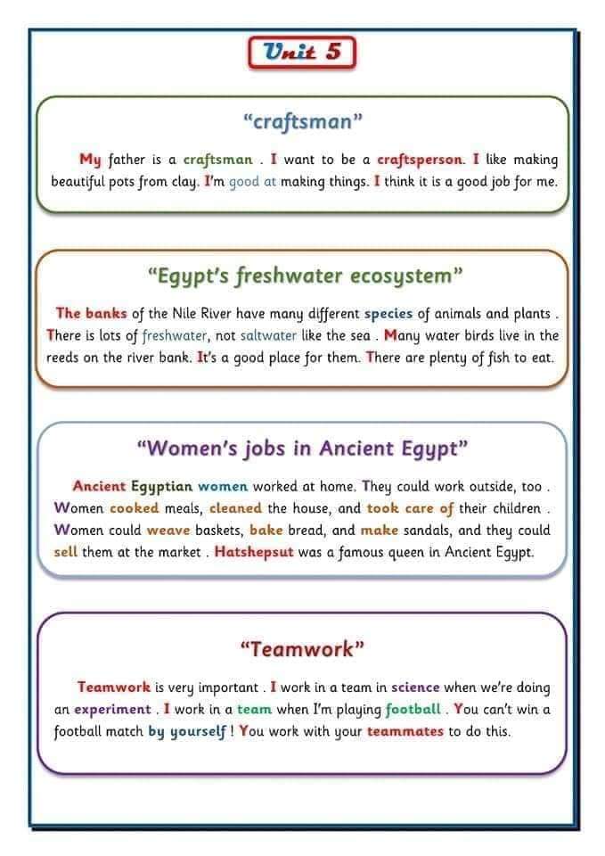 تحميل براجرافات كونكت 5 الصف الخامس الابتدائي الترم الاول 2023 - براجرافات خامسة ابتدائي