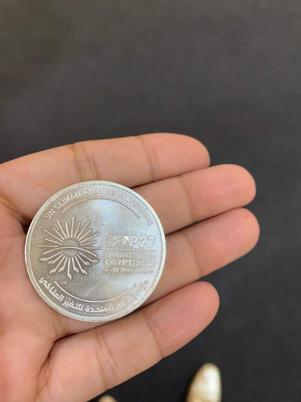 المالية تطرح 100 جنيه معدنية بمناسبة قمة المناخ ب 750 جنيه - اخبار مصر