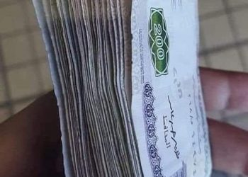 تفاصيل منظومة البيرول لمرتبات وضرائب الموظفين - Payrool