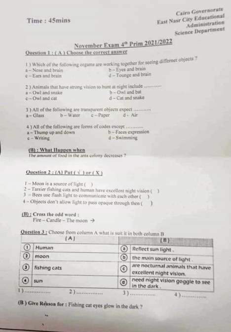 اختبارات شهر نوفمبر في اللغة العربية والتربية الدينية والدراسات والساينس واللغة الإنجليزية للصف الرابع الابتدائي ترم أول 2023 - امتحانات شهر نوفمبر رابعة ابتدائي