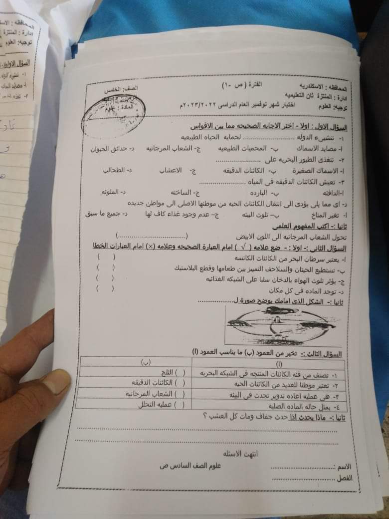 تجميع امتحانات نوفمبر للصف الخامس الابتدائي في كل المواد 2023 - امتحانات نوفمبر