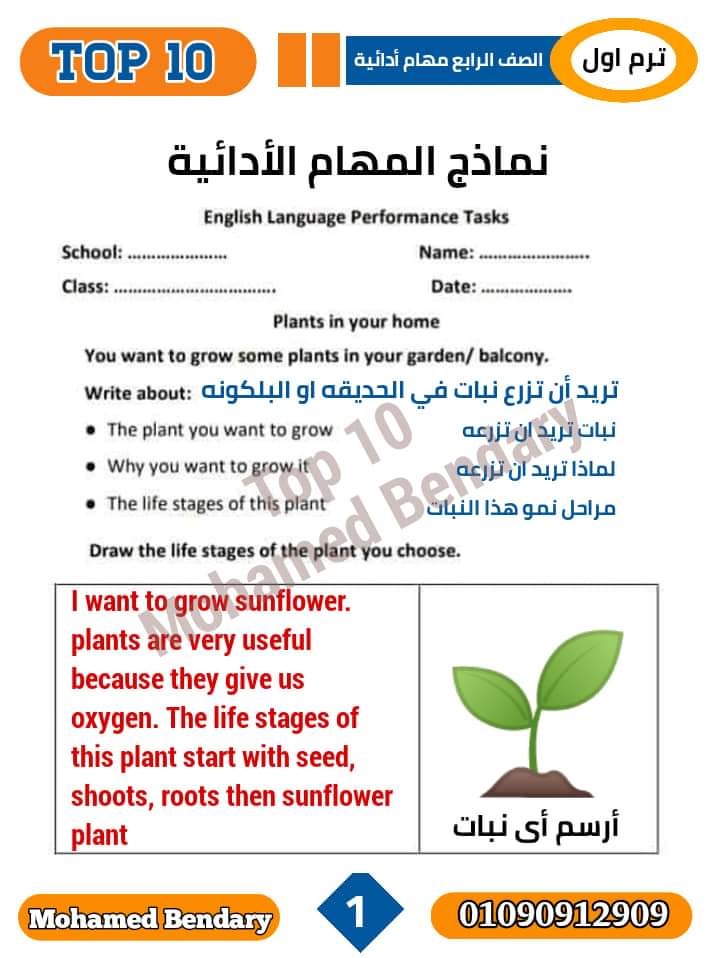تحميل المهام الادائية لغة انجليزية الصف الرابع الابتدائي الترم الاول 2023 - المهام الادائية