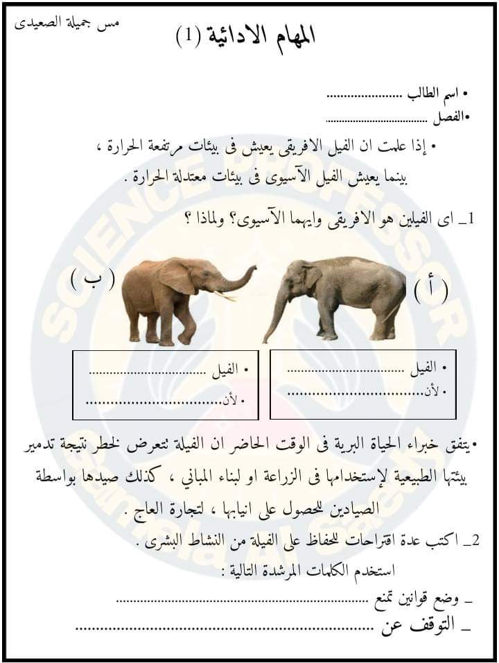 تحميل المهام الادائية علوم رابعة ابتدائي الترم الاول 2023 بالاجابات تحميل المهام الادائية علوم رابعة ابتدائي الترم الاول 2023 بالاجابات - المهام الادائية