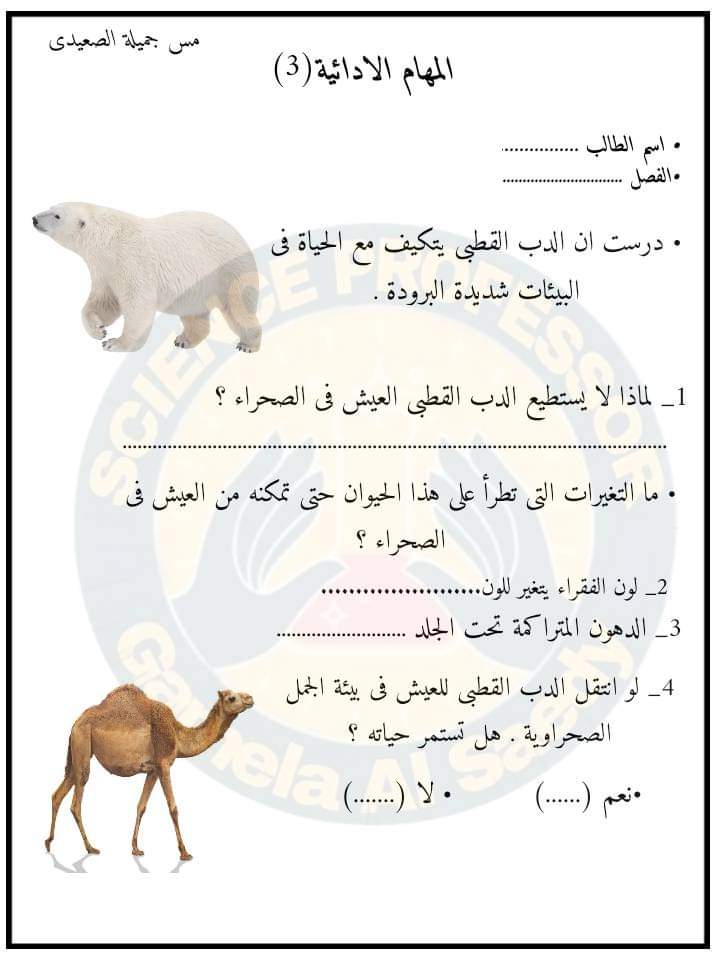 تحميل المهام الادائية علوم رابعة ابتدائي الترم الاول 2023 بالاجابات تحميل المهام الادائية علوم رابعة ابتدائي الترم الاول 2023 بالاجابات - المهام الادائية