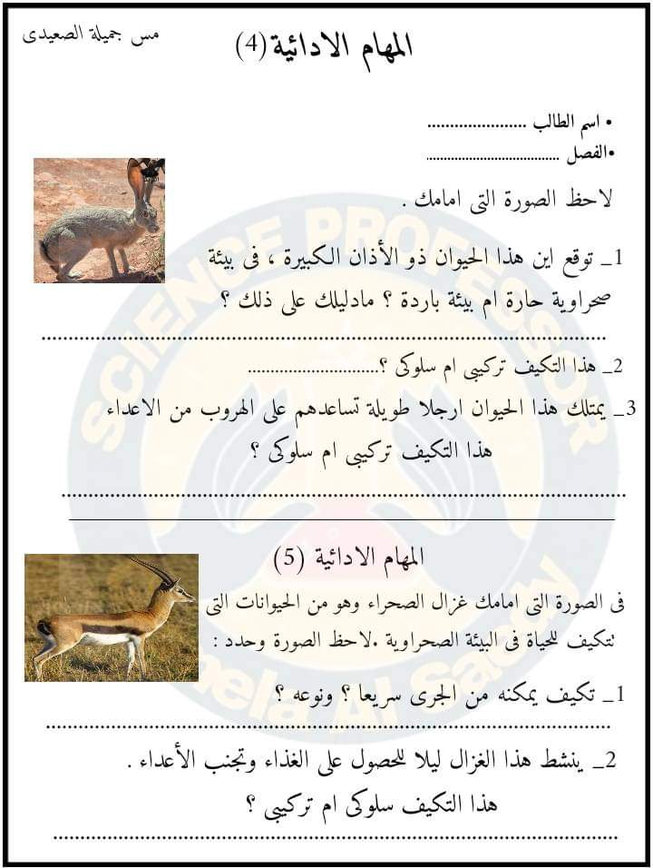 تحميل المهام الادائية علوم رابعة ابتدائي الترم الاول 2023 بالاجابات تحميل المهام الادائية علوم رابعة ابتدائي الترم الاول 2023 بالاجابات - المهام الادائية