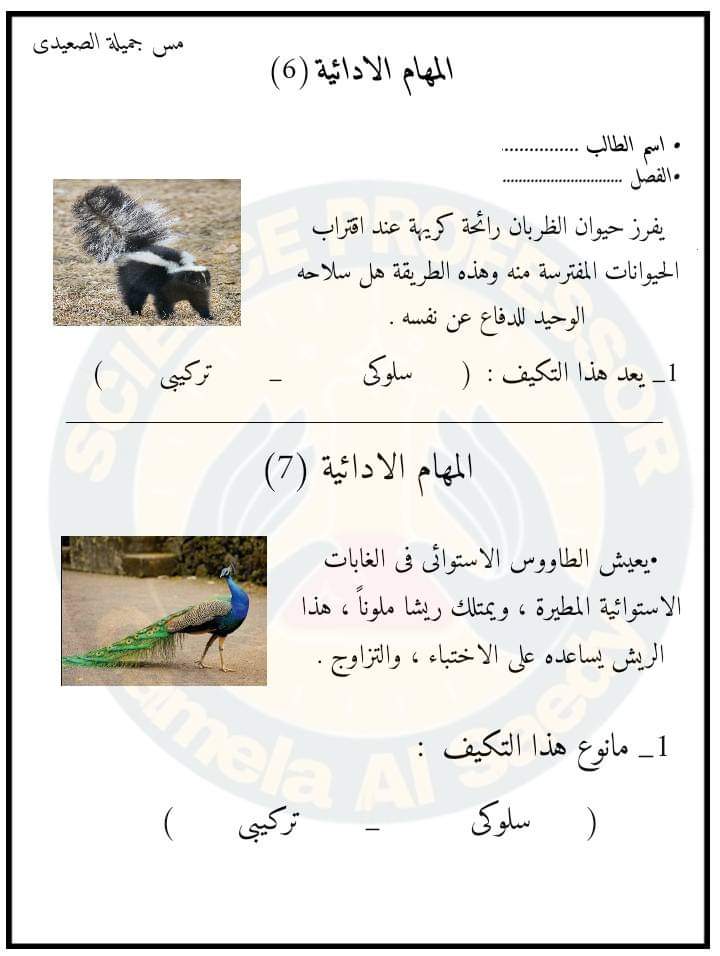 تحميل المهام الادائية علوم رابعة ابتدائي الترم الاول 2023 بالاجابات تحميل المهام الادائية علوم رابعة ابتدائي الترم الاول 2023 بالاجابات - المهام الادائية