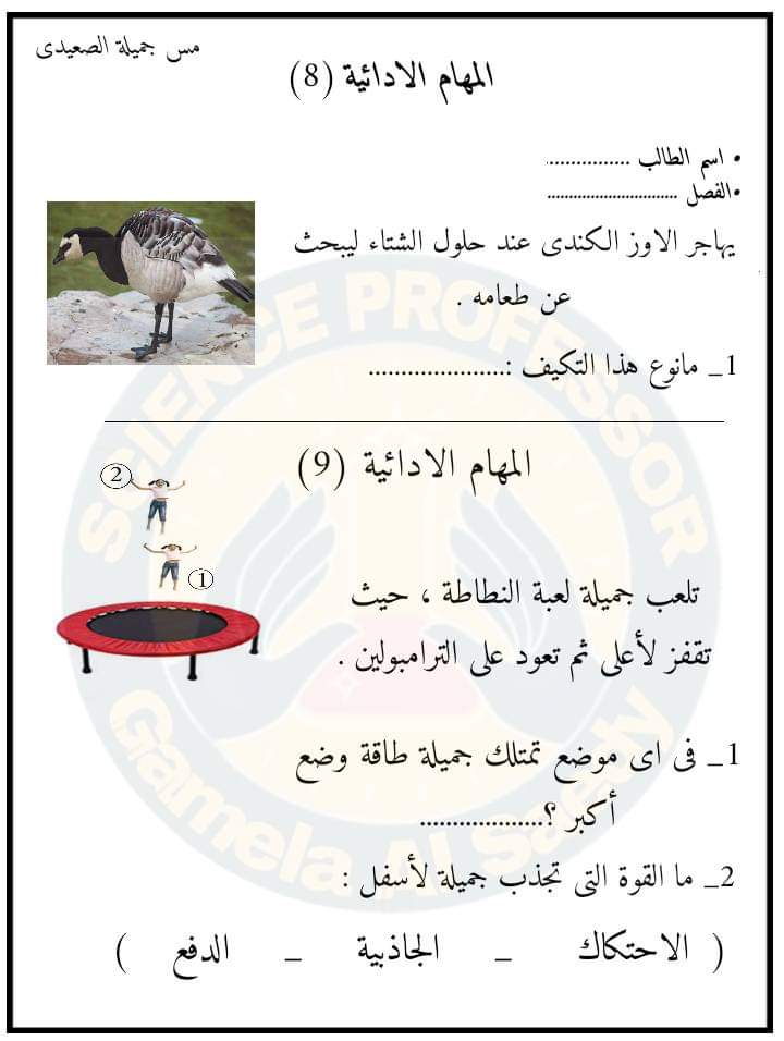 تحميل المهام الادائية علوم رابعة ابتدائي الترم الاول 2023 بالاجابات تحميل المهام الادائية علوم رابعة ابتدائي الترم الاول 2023 بالاجابات - المهام الادائية