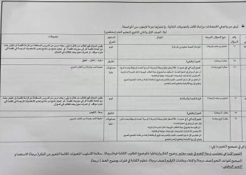 مواصفات ودرجات الورقة الامتحانية فى اللغة الانجليزية للصفين الأول والثاني الثانوي من مكتب مستشارى المادة - مواصفات امتحانات اولى ثانوي