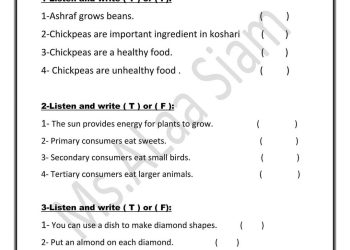 تحميل مراجعة كونكت 5 connect خامسة ابتدائي الترم الاول 2023 ميس آلاء صيام - تحميل مذكرات آلاء صيام