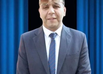 دكتور تامر شوقي الخبير التعليمي