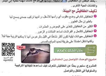 مسودة تلقائية