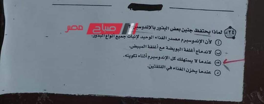 نموذج اجابة امتحان الجبر والهندسة الفراغية للصف الثالث الثانوي 2023