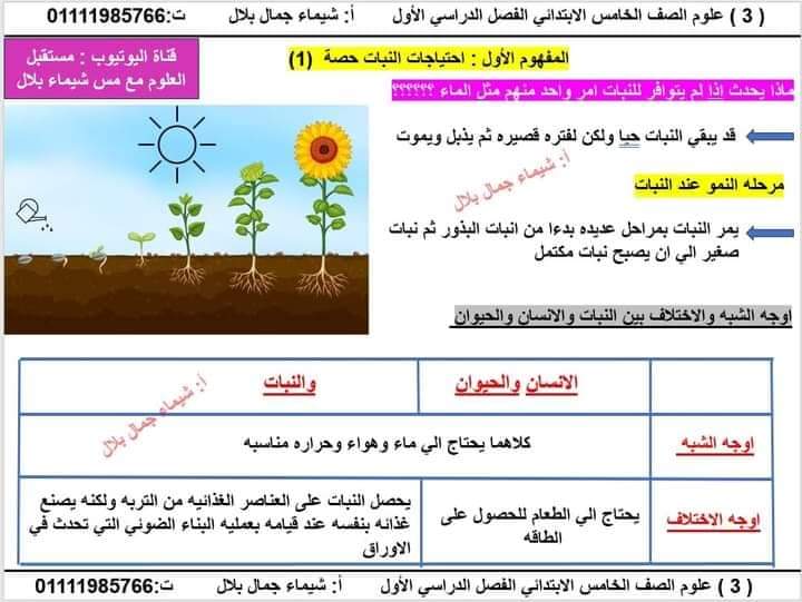 شرح المفهوم الأول احتياجات النبات الصف الخامس الابتدائي الفصل الدراسي الأول
