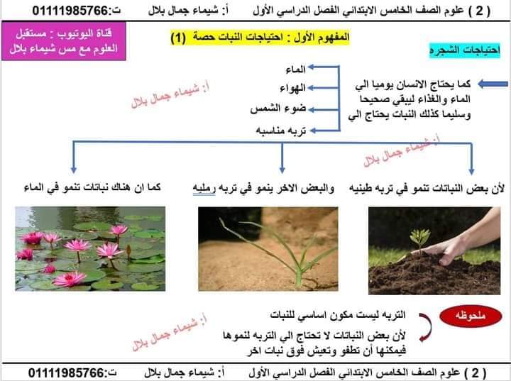 شرح المفهوم الأول احتياجات النبات الصف الخامس الابتدائي الفصل الدراسي الأول