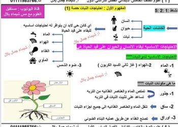 شرح المفهوم الأول احتياجات النبات الصف الخامس الابتدائي الفصل الدراسي الأول