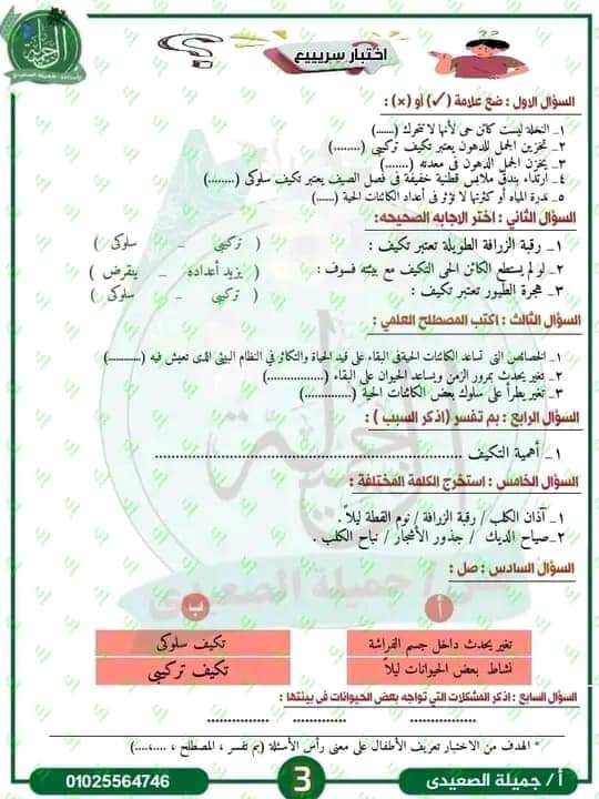 مذكرة شرح المفهوم الاول في العلوم للصف الرابع الابتدائي الترم الاول م- جميلة الصعيدي - منصة كتاتيب مصر - مذكرة شرح المفهوم الاول في العلوم للصف الرابع الابتدائي الترم الاول م- جميلة الصعيدي مذكرة شرح المفهوم الاول في العلوم للصف الرابع الابتدائي الترم الاول م- جميلة الصعيدي