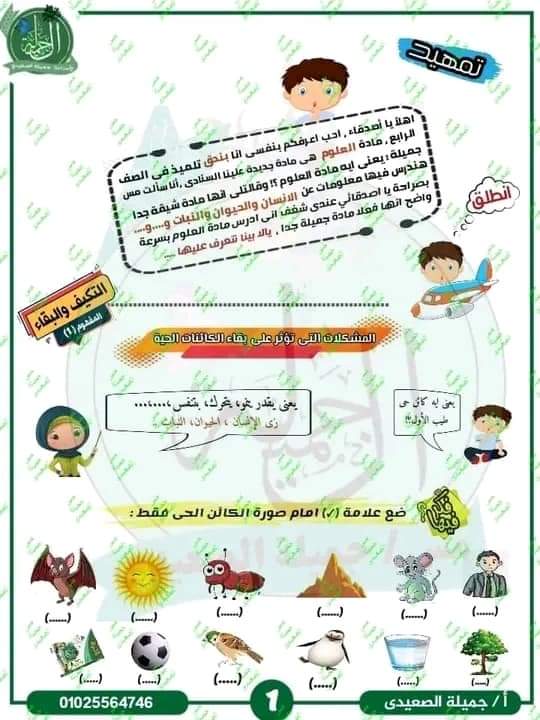 مذكرة شرح المفهوم الاول في العلوم للصف الرابع الابتدائي الترم الاول م- جميلة الصعيدي - منصة كتاتيب مصر - مذكرة شرح المفهوم الاول في العلوم للصف الرابع الابتدائي الترم الاول م- جميلة الصعيدي مذكرة شرح المفهوم الاول في العلوم للصف الرابع الابتدائي الترم الاول م- جميلة الصعيدي