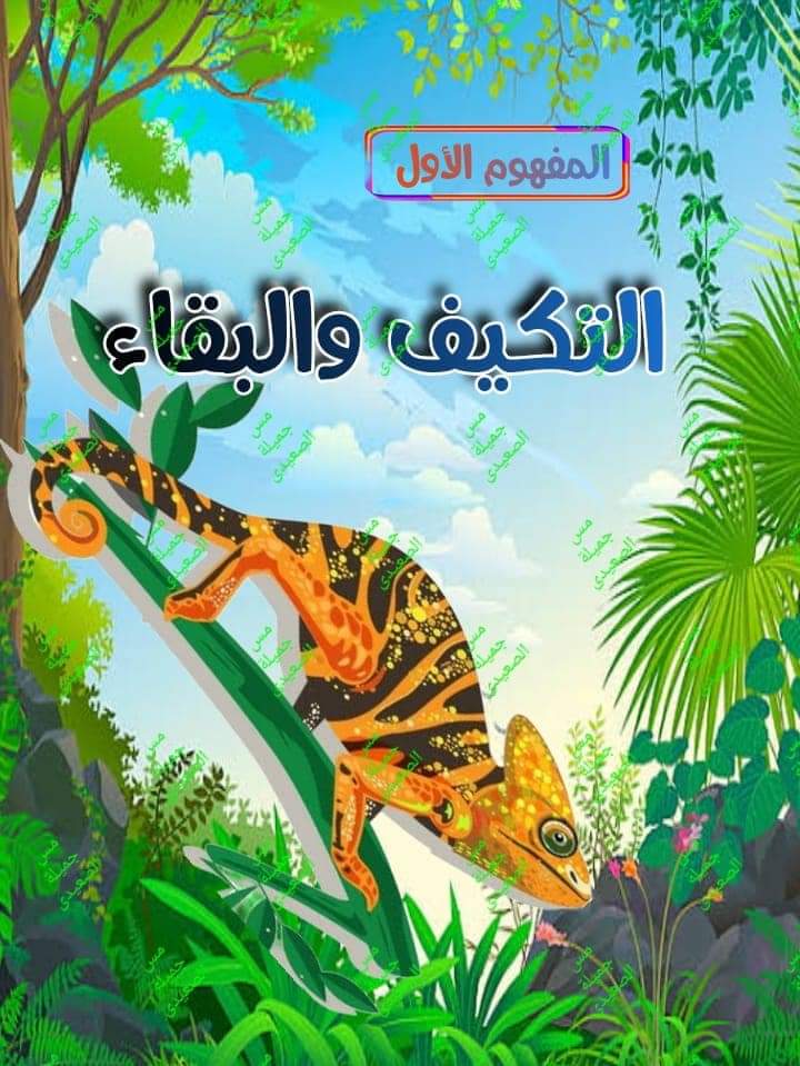 مذكرة شرح المفهوم الاول في العلوم للصف الرابع الابتدائي الترم الاول م- جميلة الصعيدي - منصة كتاتيب مصر - مذكرة شرح المفهوم الاول في العلوم للصف الرابع الابتدائي الترم الاول م- جميلة الصعيدي مذكرة شرح المفهوم الاول في العلوم للصف الرابع الابتدائي الترم الاول م- جميلة الصعيدي