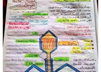 تجميع مراجعات وتوقعات الأحياء للصف الثالث الثانوي