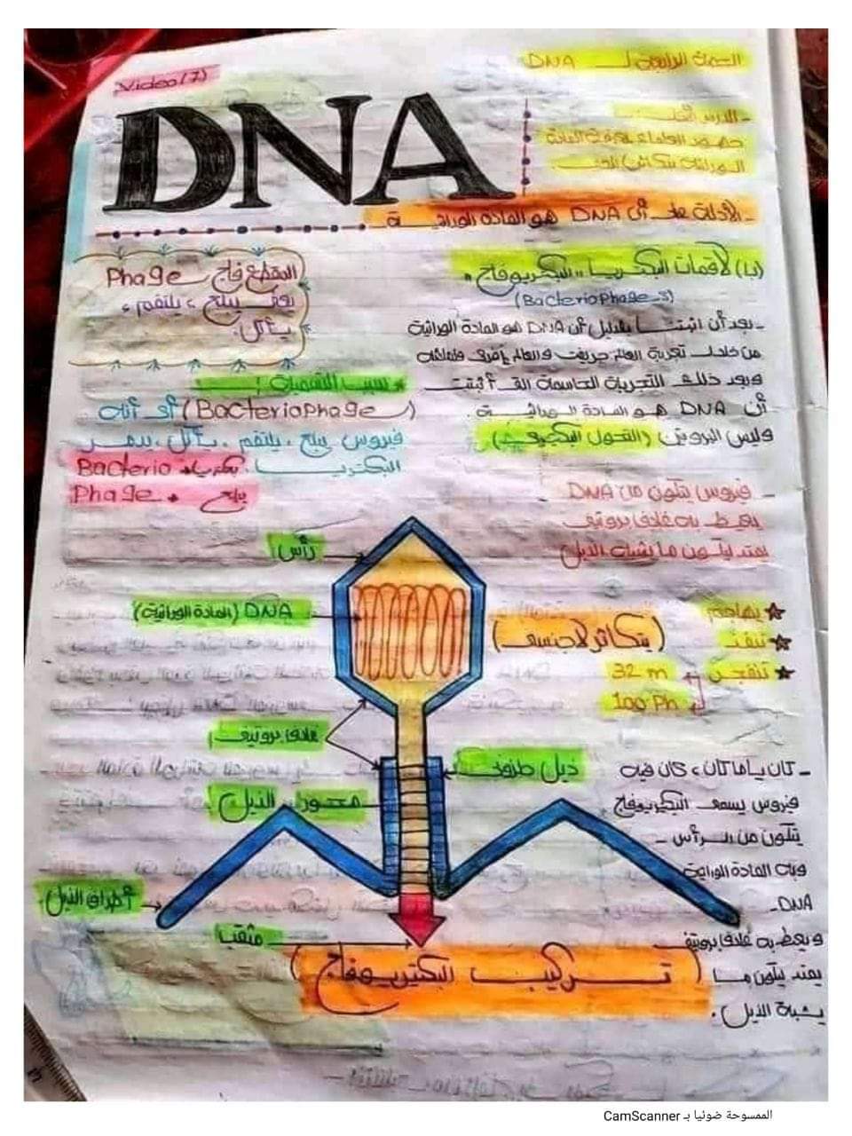 تجميع مراجعات وتوقعات الأحياء للصف الثالث الثانوي