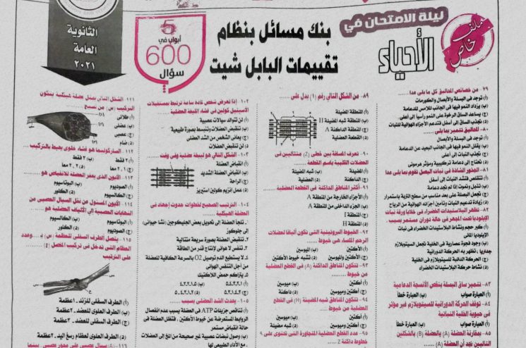 تحميل توقعات الجمهورية بالاجابات 600 سؤال احياء للصف الثالث الثانوي - منصة كتاتيب مصر - تحميل توقعات الجمهورية بالاجابات 600 سؤال احياء للصف الثالث الثانوي تحميل توقعات الجمهورية بالاجابات 600 سؤال احياء للصف الثالث الثانوي