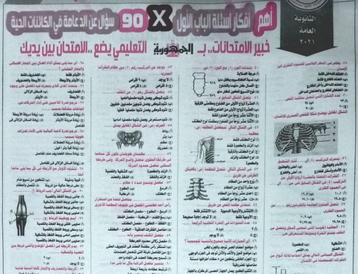 تحميل توقعات الجمهورية بالاجابات 600 سؤال احياء للصف الثالث الثانوي - منصة كتاتيب مصر - تحميل توقعات الجمهورية بالاجابات 600 سؤال احياء للصف الثالث الثانوي تحميل توقعات الجمهورية بالاجابات 600 سؤال احياء للصف الثالث الثانوي