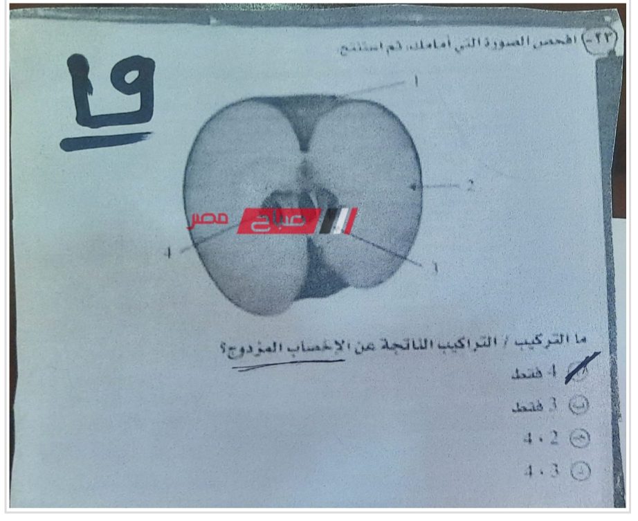 نموذج اجابة امتحان الاحياء للصف الثالث الثانوي 2023